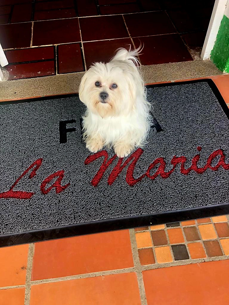 Fernando M