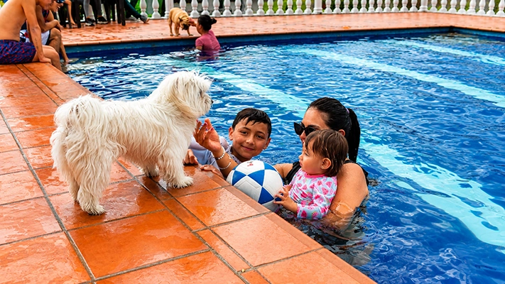 Familia disfrutando la piscina con mascota en Finca La María Centro Vacacional
